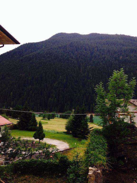 Hotel Meuble La Perla Auronzo di Cadore Exterior foto